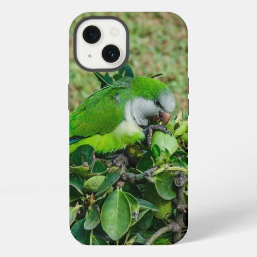 オウム iPhoneケース (裏面)
