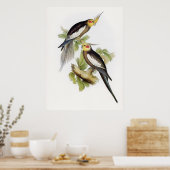 オウムCockatoo Cockatielアート ポスター (キッチン)