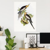 オウムCockatoo Cockatielアート ポスター (ホームオフィス)