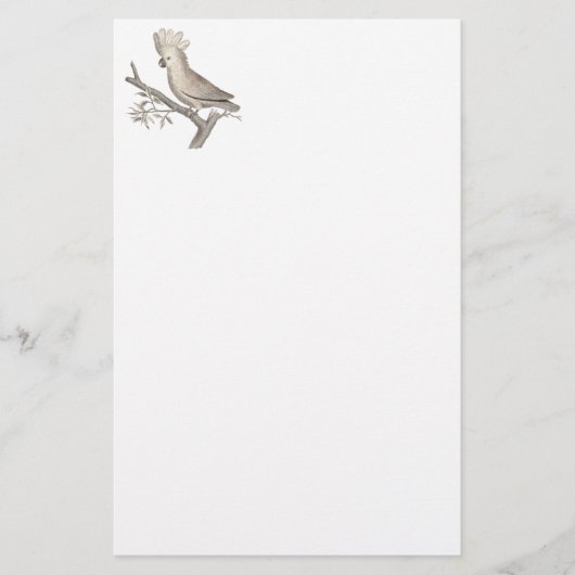 オウムHistoire Naturelleの旧式な版木、銅版、版画 便箋 (正面)