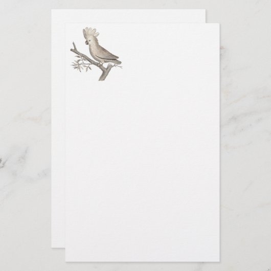 オウムHistoire Naturelleの旧式な版木、銅版、版画 便箋 (正面/裏面)