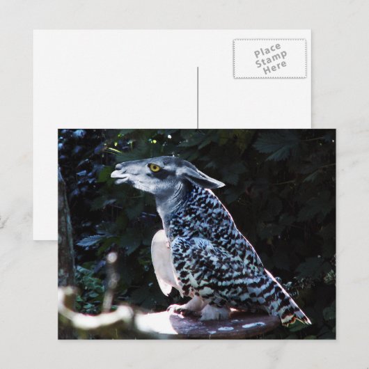 オウラマはがき ポストカード (正面/裏面)