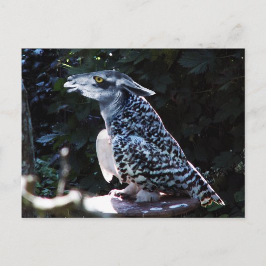 オウラマはがき ポストカード (正面)