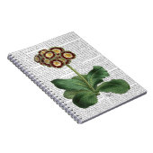 オウリキュラレッド ノートブック (右側)