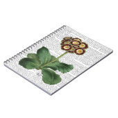 オウリキュラレッド ノートブック (左側)