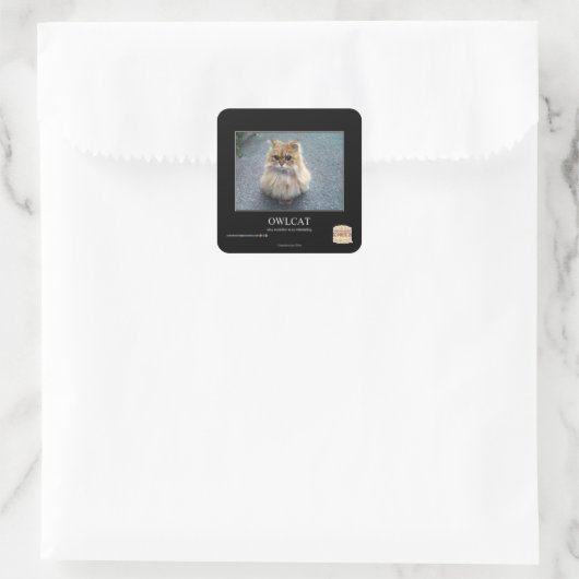 オウルカ スクエアシール (バッグ)