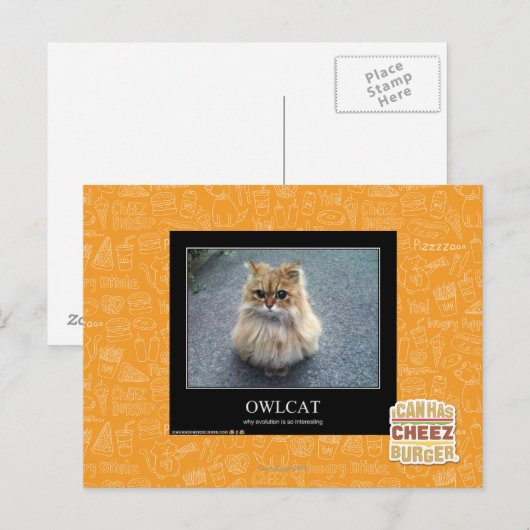 オウルカ ポストカード (正面/裏面)