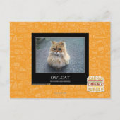 オウルカ ポストカード (正面)