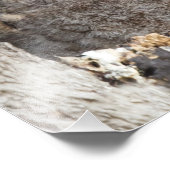 オウレット フォトプリント            (角)