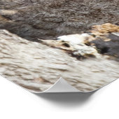 オウレット ポスター (角)