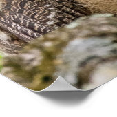 オウレット ポスター (角)