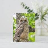 オウレット ポストカード (スタンド正面)