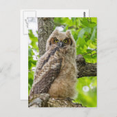 オウレット ポストカード (正面/裏面)