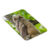 オウレット マグネット (右側)