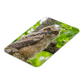 オウレット マグネット (左側)