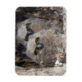 オウレット マグネット (縦)