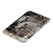 オウレット マグネット (左側)