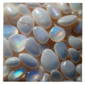 オエレガントパル瓦 タイル (正面)