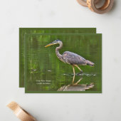 オオアオサギ (Ardea herodias) ノートカード (正面/裏面インサイチュ)