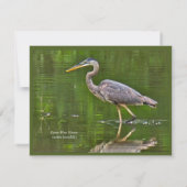 オオアオサギ (Ardea herodias) ノートカード (裏面)