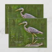 オオアオサギ (Ardea herodias) ノートカード (正面/裏面)