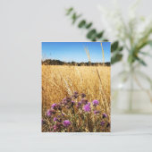 オオアザミのある夏の草原 ポストカード (スタンド正面)