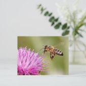 オオアザミの花にミツバチが乗り込む ポストカード (スタンド正面)
