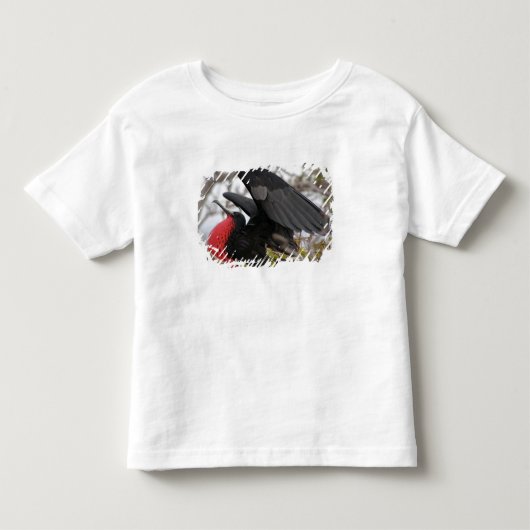 オオアジサシ トドラーTシャツ (正面)