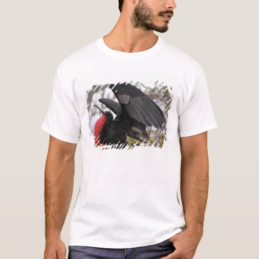 オオアジサシ Tシャツ (正面)