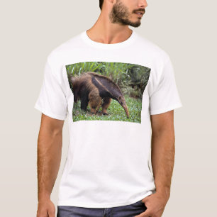 オオアリクイ(Myrmecophagaのtridactyla) Tシャツ