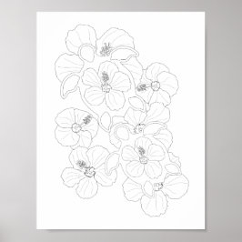 オオウガメ大人のカラーリングポスター ポスター