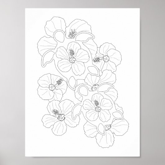 オオウガメ大人のカラーリングポスター ポスター (正面)