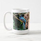 オオウズドリ コーヒーマグカップ (左)