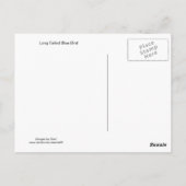 オオウズドリ ポストカード (裏面)