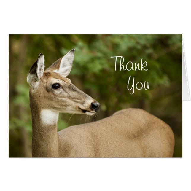 オオウズラ (正面横)