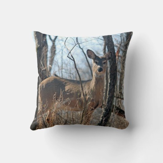 オオウズラ クッション (裏面)