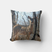 オオウズラ クッション (正面)