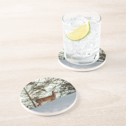 オオウズラ コースター (側面)