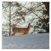 オオウズラ タイル (正面)