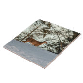 オオウズラ タイル (側面)