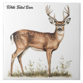 オオウズラ タイル (正面)