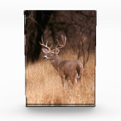 オオウズラ |チョークキャニオン州パーク（テキサス州） フォトブロック (正面)