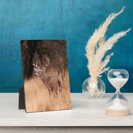 オオウズラ |チョークキャニオン州パーク(テキサス州) フォトプラーク (側面)