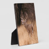 オオウズラ |チョークキャニオン州パーク(テキサス州) フォトプラーク (側面)