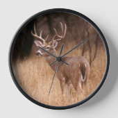 オオウズラ |チョークキャニオン州パーク(テキサス州) 壁時計 (正面)