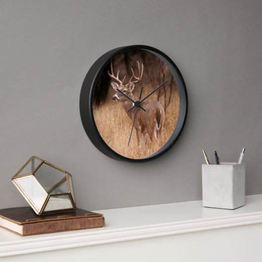 オオウズラ |チョークキャニオン州パーク(テキサス州) 壁時計 (オフィス)