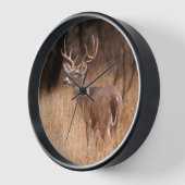 オオウズラ |チョークキャニオン州パーク(テキサス州) 壁時計 (傾斜)