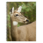 オオウズラ ノートブック (正面)