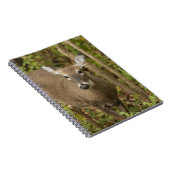 オオウズラ ノートブック (右側)