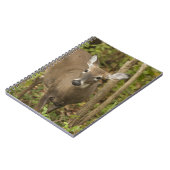 オオウズラ ノートブック (左側)